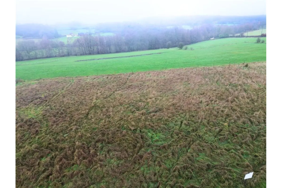 Terrain à vendre à Forge-Philippe 6596 30000.00€  chambres m² - annonce 651437