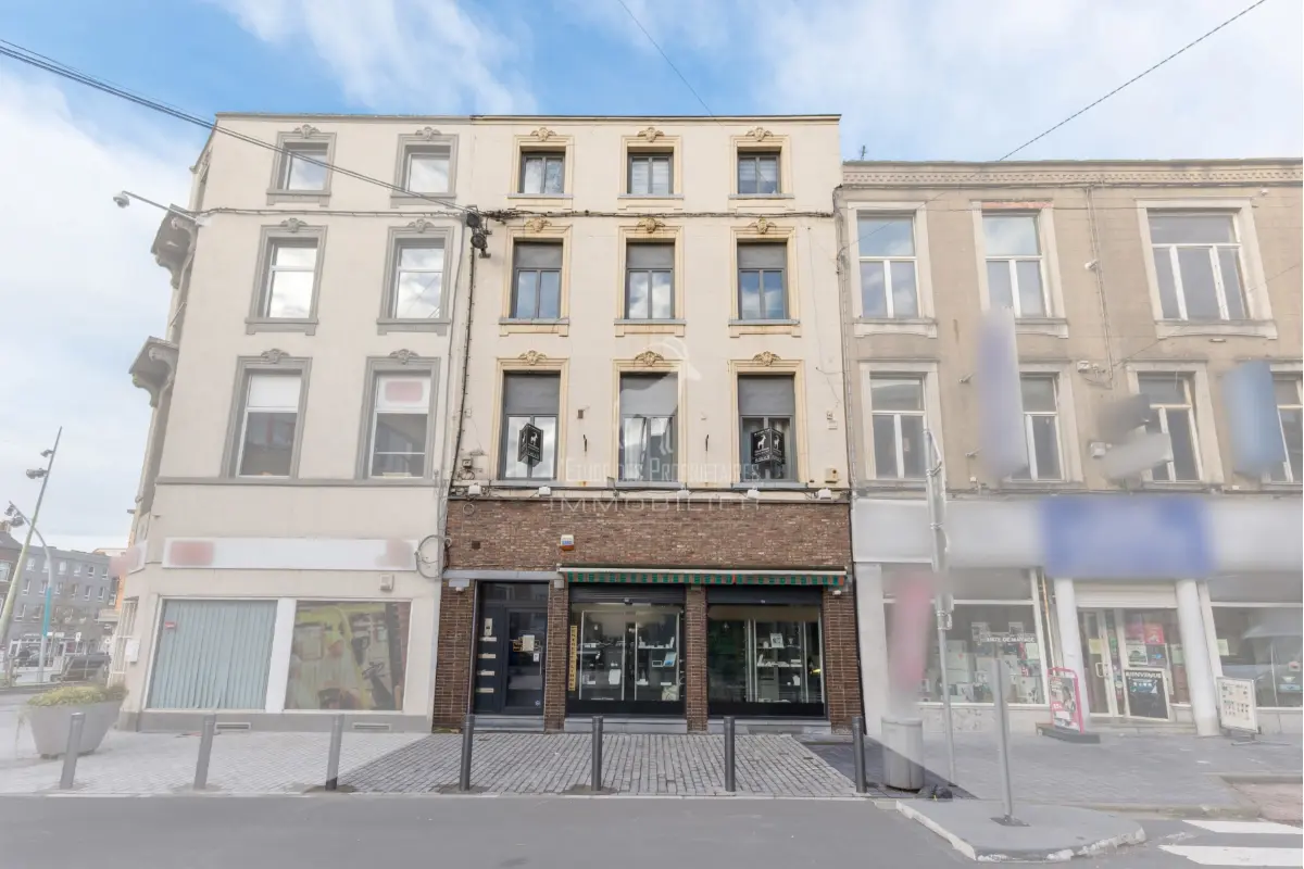 Maison à vendre à La Louvière 7100 379000.00€ 3 chambres 230.00m² - annonce 651673