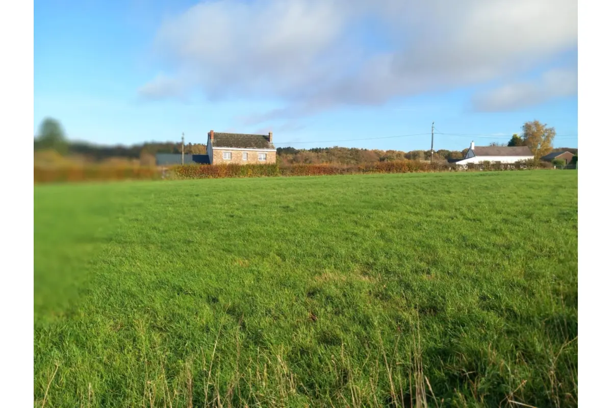 Terrain à vendre à Momignies 6590 96950.00€  chambres m² - annonce 652034