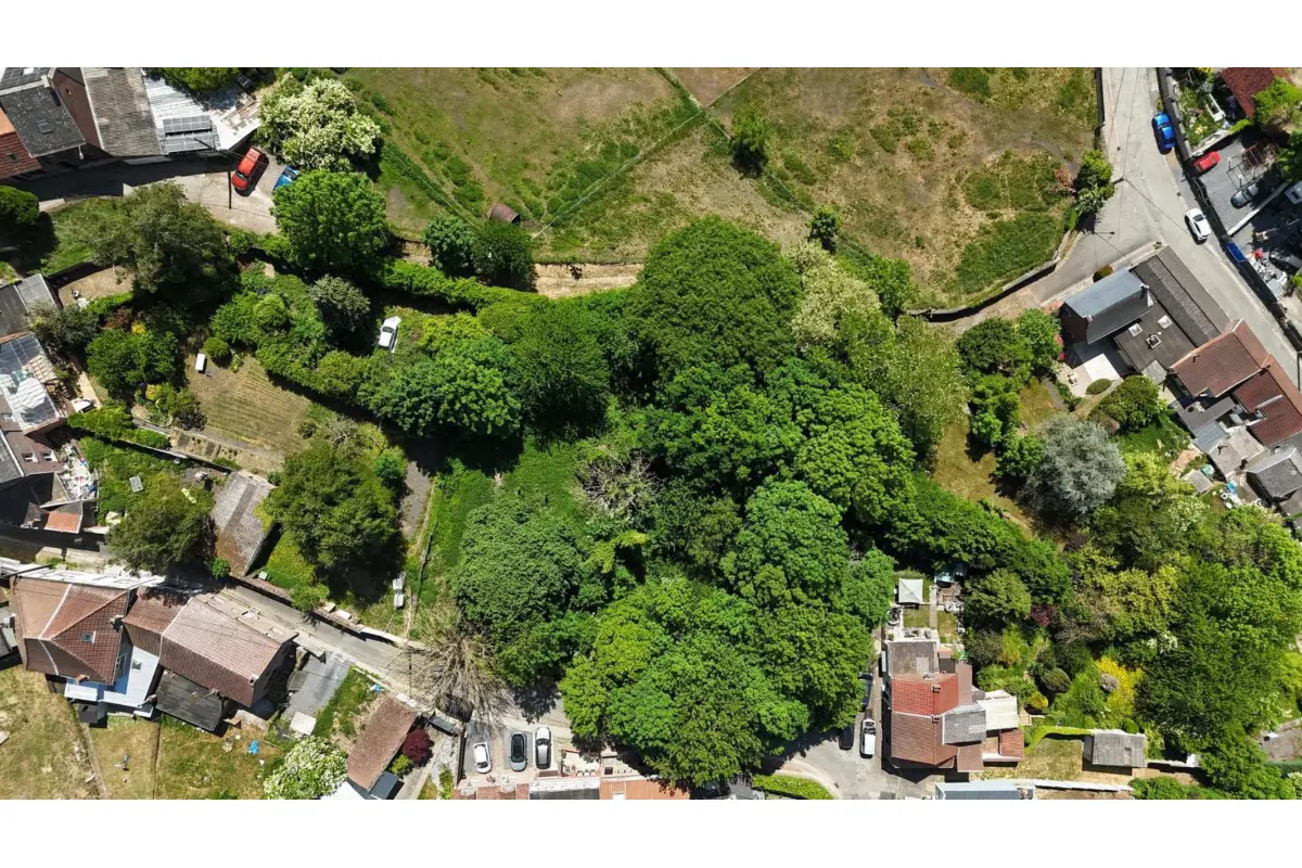 Terrain à vendre à Colfontaine 7340 90000.00€  chambres m² - annonce 652406