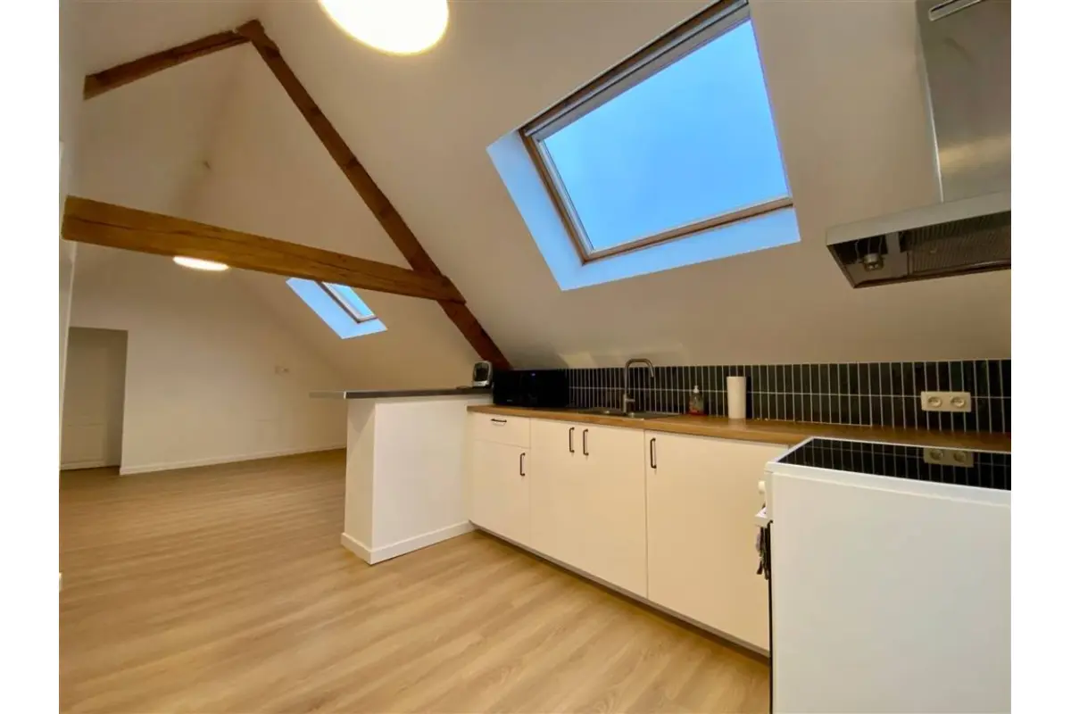 Appartement à louer à Hérinnes-lez-Pecq 7742 650.00€ 1 chambres 70.00m² - annonce 664050