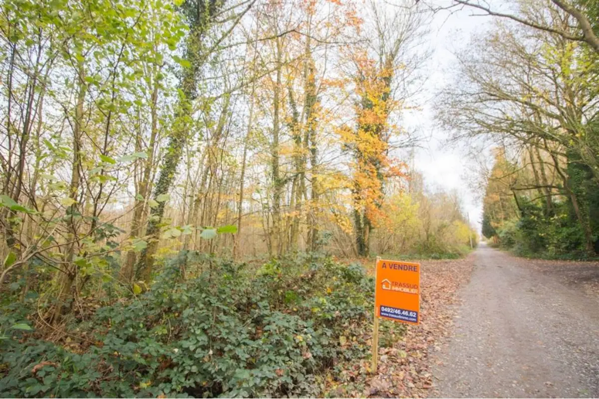 Terrain non bâtissable à  à Berzée 5651 99000.00€  chambres m² - annonce 666319