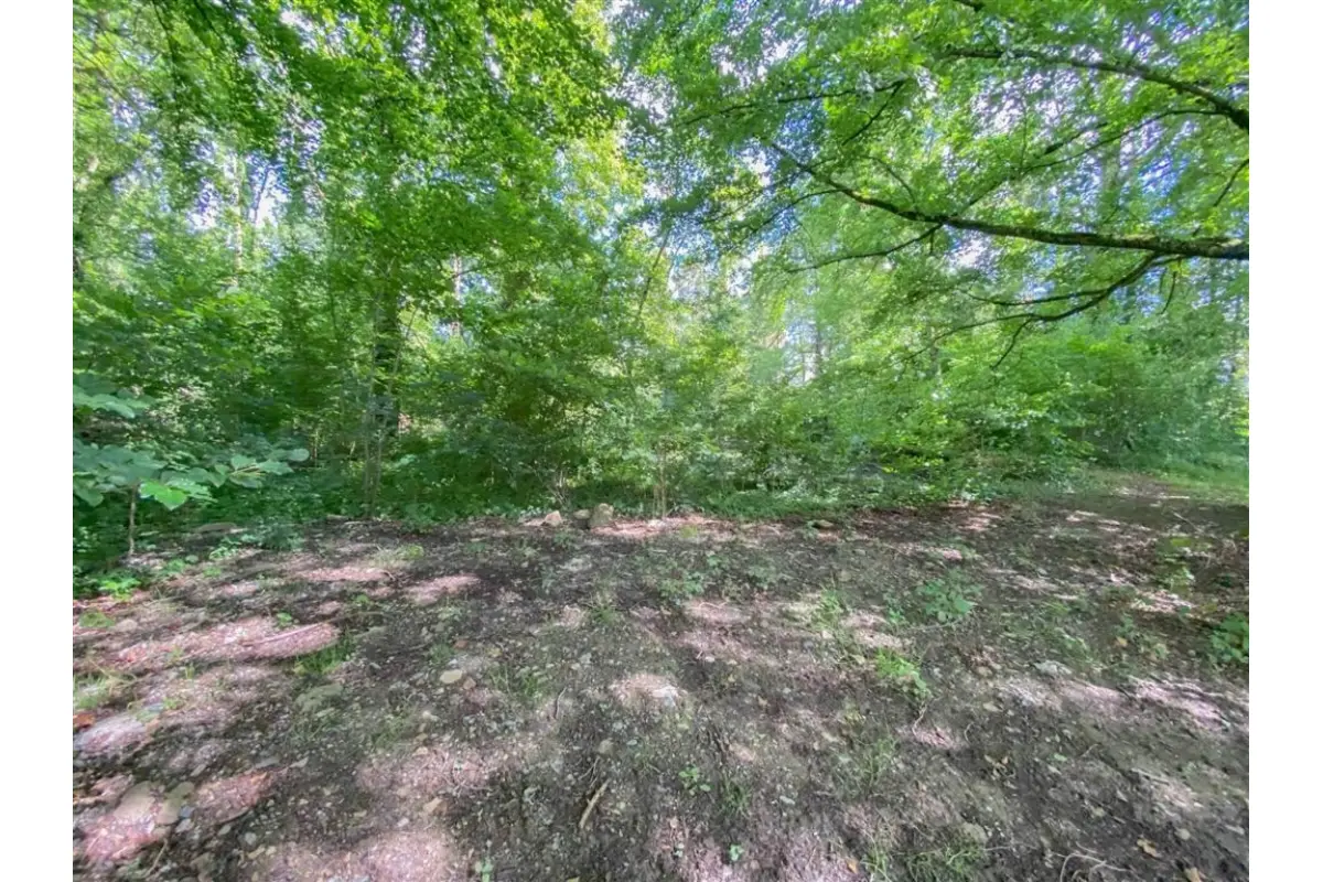 Terrain à vendre à Barbençon 6500 115000.00€  chambres m² - annonce 666326