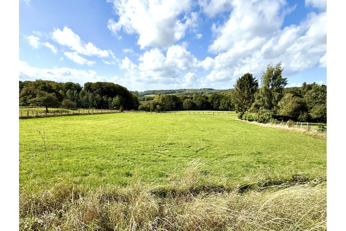 Terrain à vendre à Flobecq 7880 215000.00€  chambres m² - annonce 668004