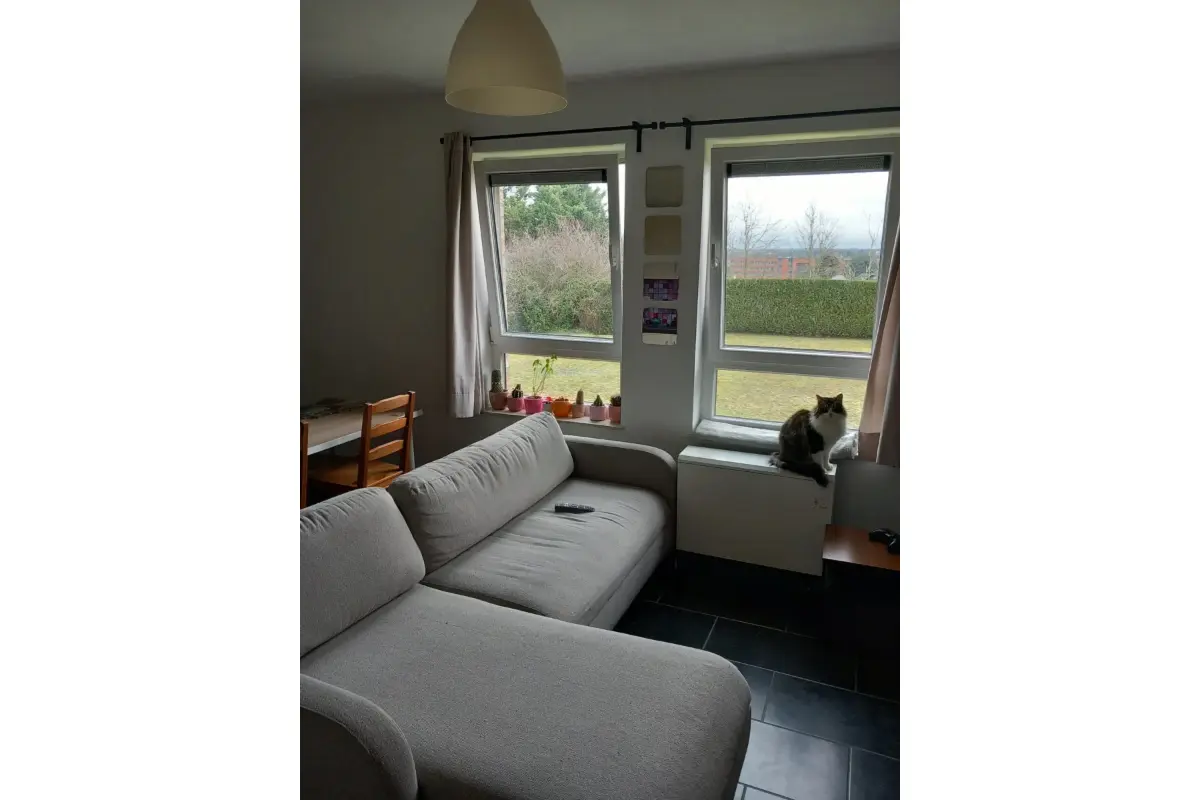 Studio à louer à Mons 7000 500.00€ 1 chambres m² - annonce 668446