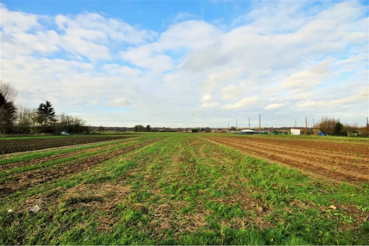 Terrain à bâtir à vendre à Fleurus 6220 79000.00€  chambres m² - annonce 670824