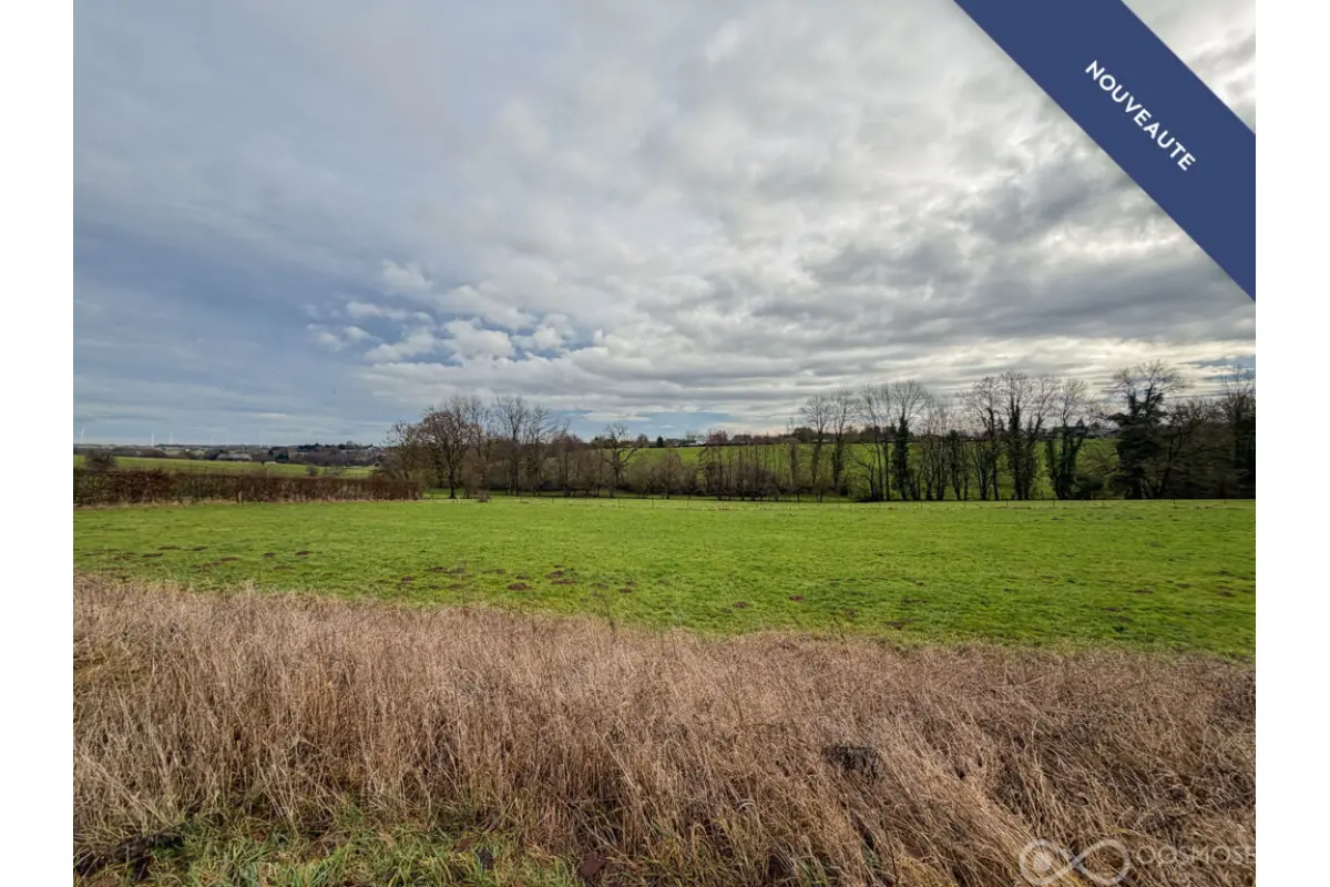 Terrain à bâtir à vendre à Forges 6464 49000.00€  chambres m² - annonce 669761