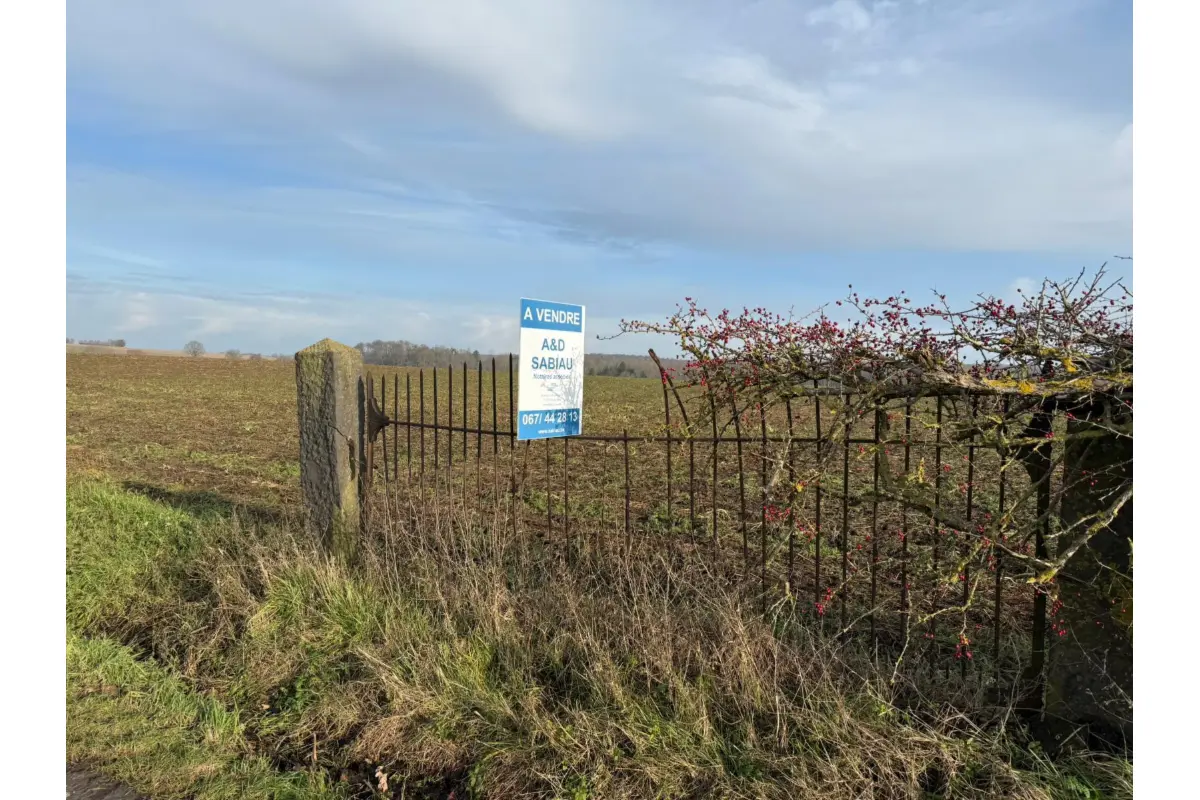 Terrain à vendre à Braine-le-Comte 7090 150000.00€  chambres m² - annonce 672736