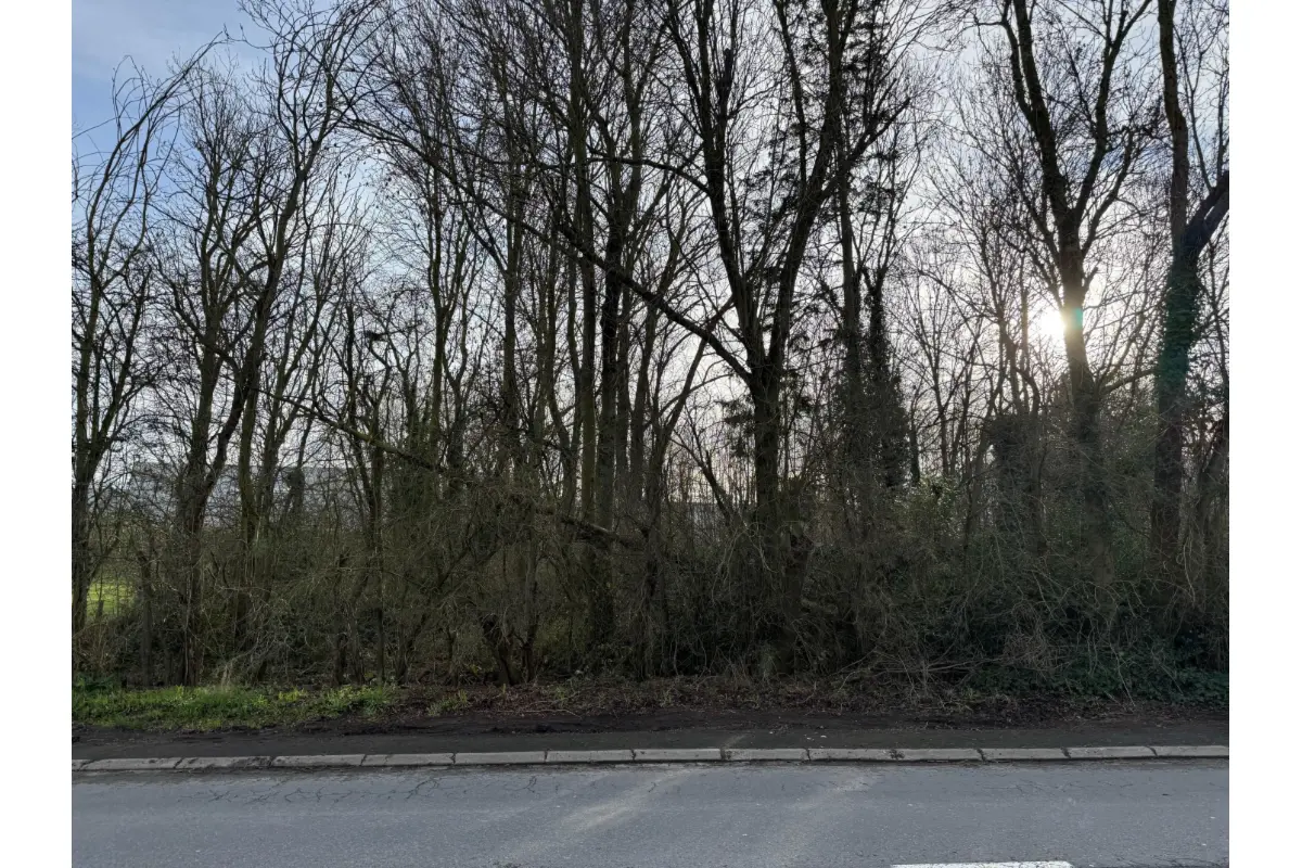 Terrain à bâtir à vendre à Luingne 7700 280000.00€  chambres m² - annonce 672791