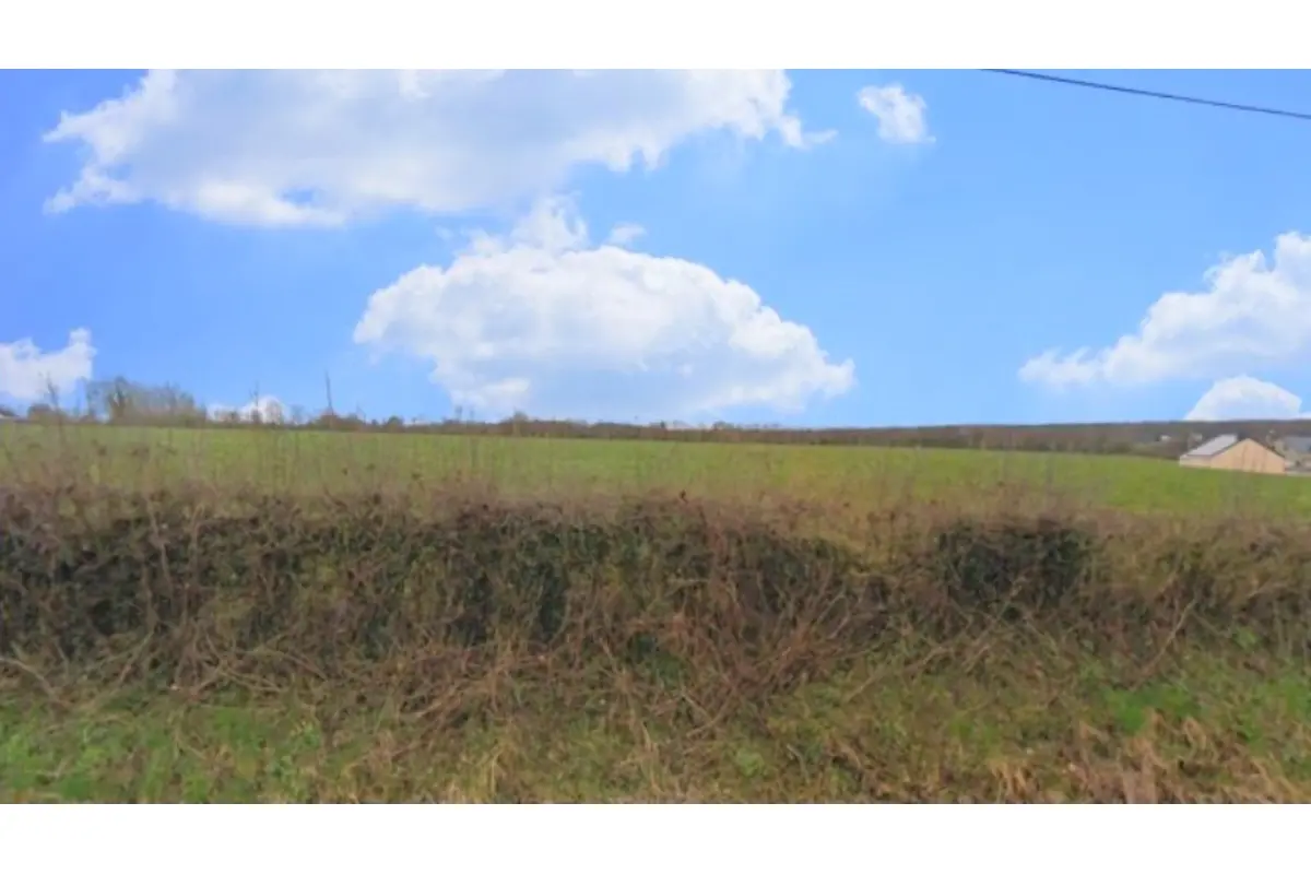 Terrain à vendre à Beauwelz 6594 65000.00€  chambres m² - annonce 674679