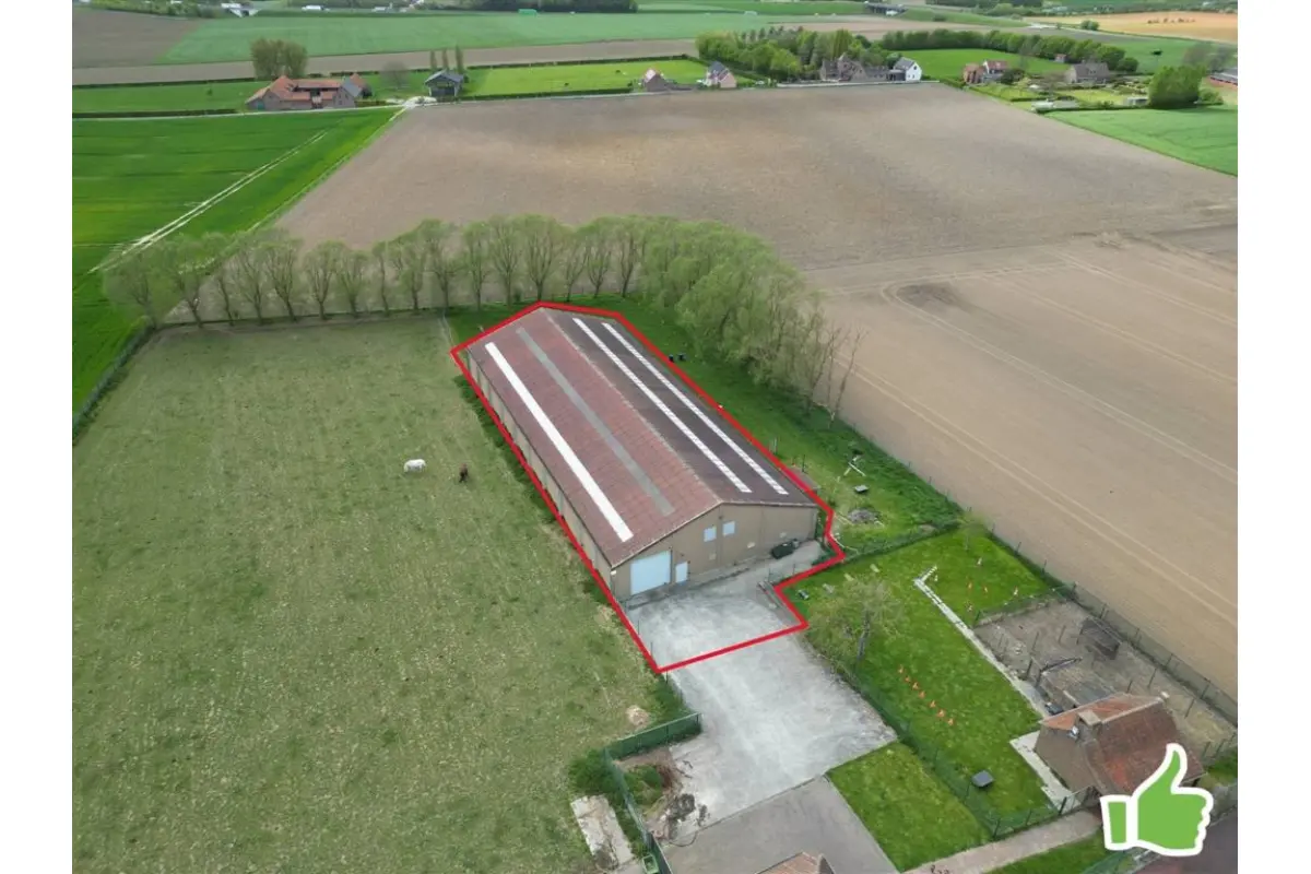 Commerce à vendre à Dottignies 7711 390000.00€  chambres 1000.00m² - annonce 680784