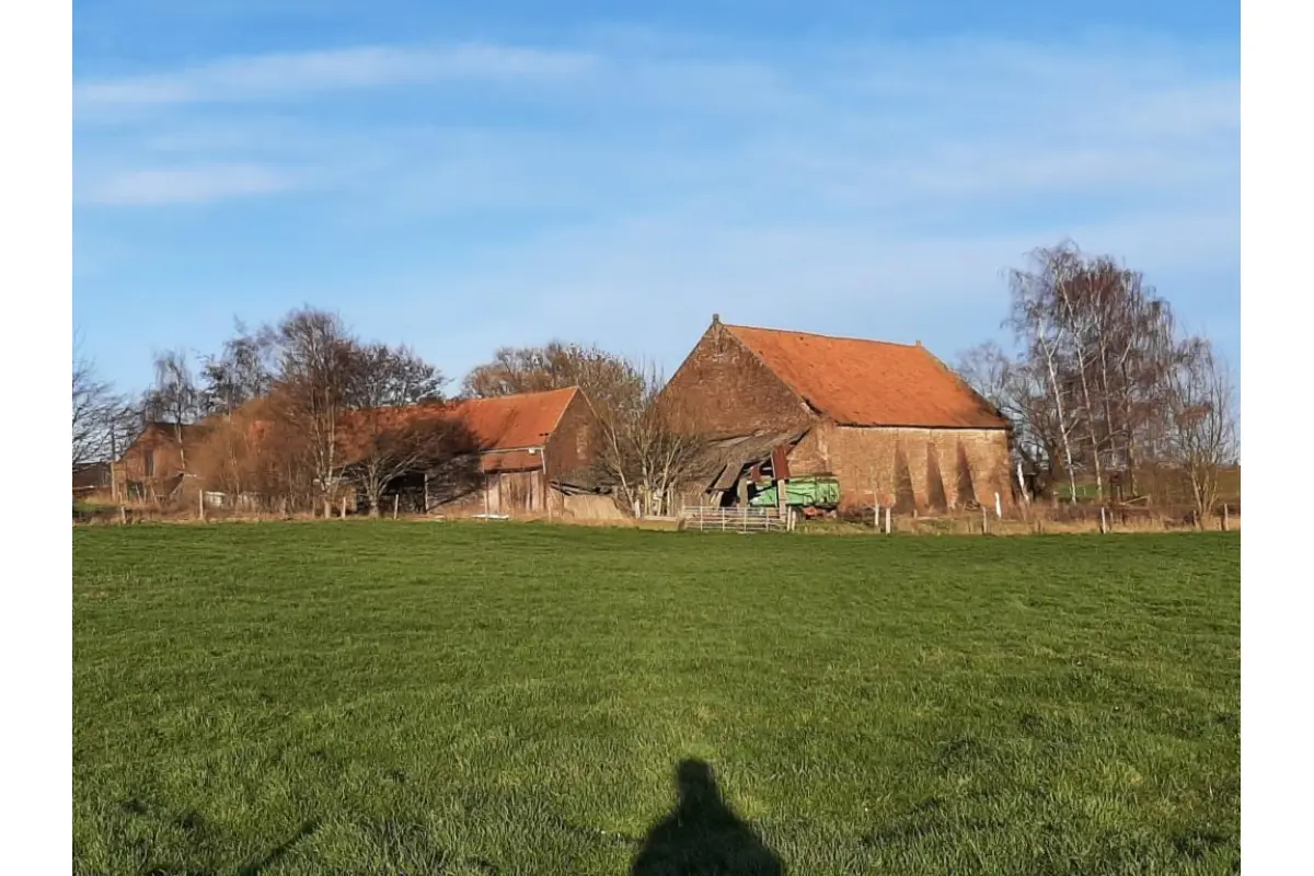 Commerce à vendre à Grandmetz 7900 150000.00€ 6 chambres m² - annonce 680492