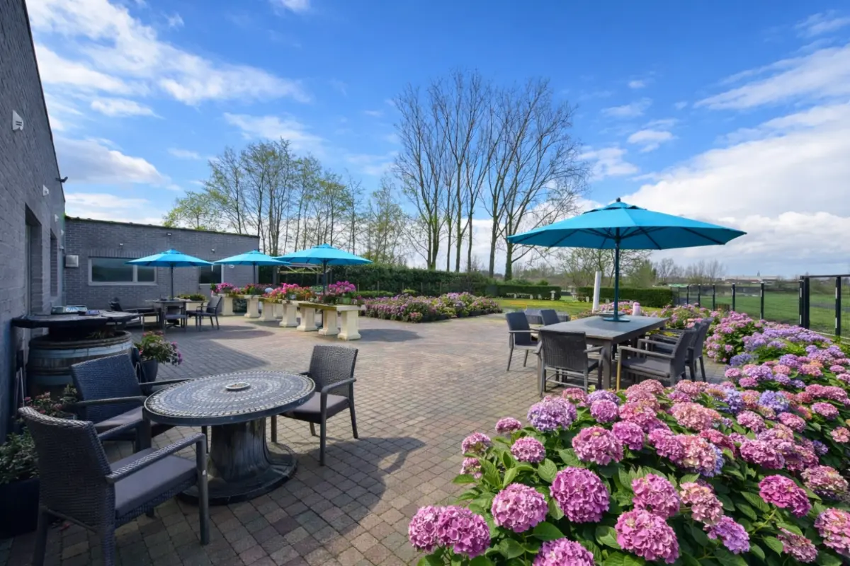 Commerce à vendre à Bailleul 7730 439000.00€  chambres m² - annonce 689397