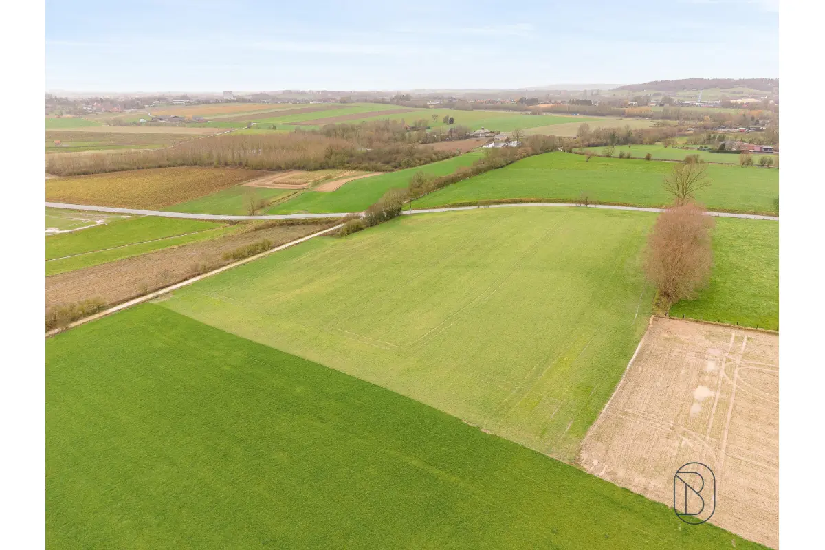 Terrain à vendre à Buissenal 7911 490000.00€  chambres m² - annonce 689602