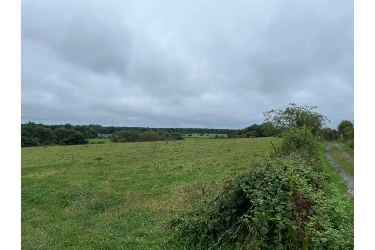 Terrain à vendre à Leugnies 6500 80000.00€  chambres m² - annonce 693417