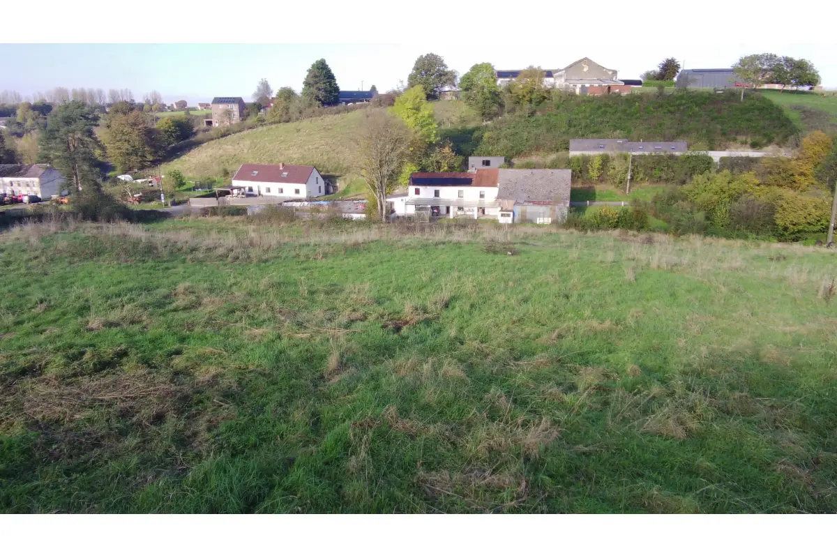 Terrain à bâtir à vendre à Froidchapelle 6440 75000.00€  chambres m² - annonce 698870