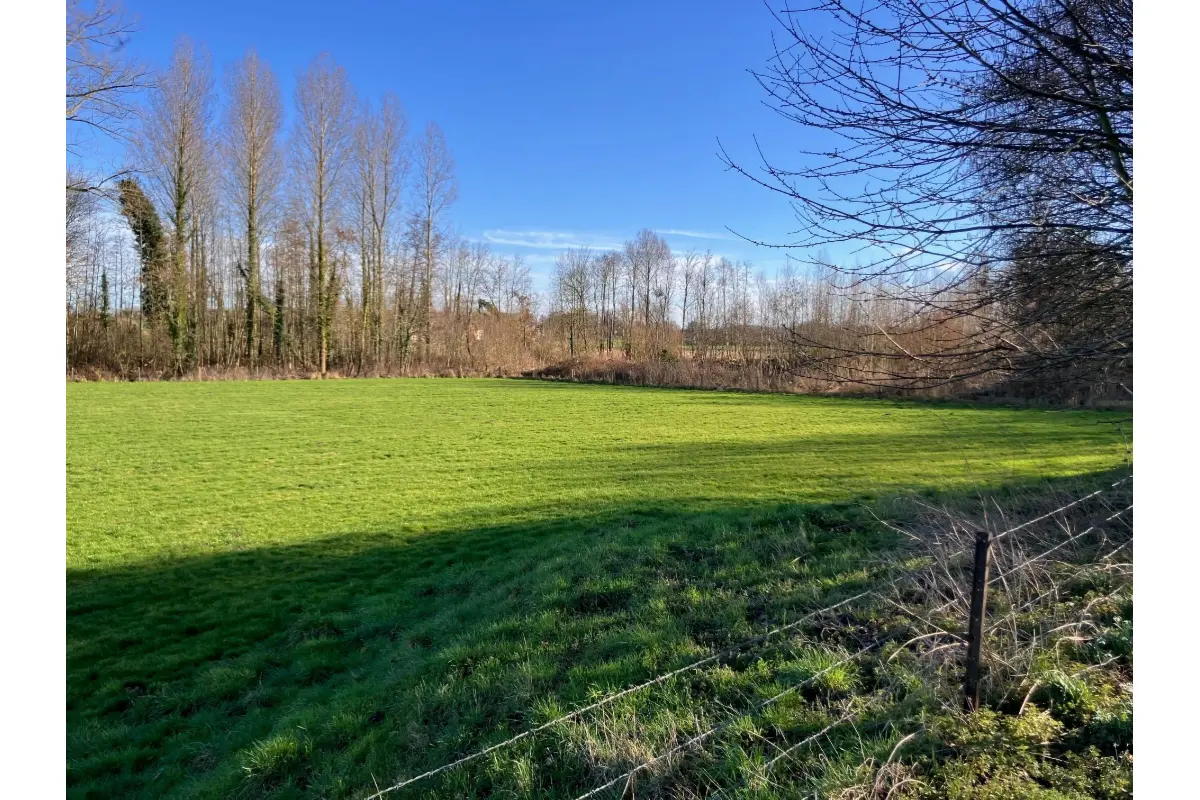 Terrain à vendre à Ladeuze 7950 27213.20€  chambres m² - annonce 700793