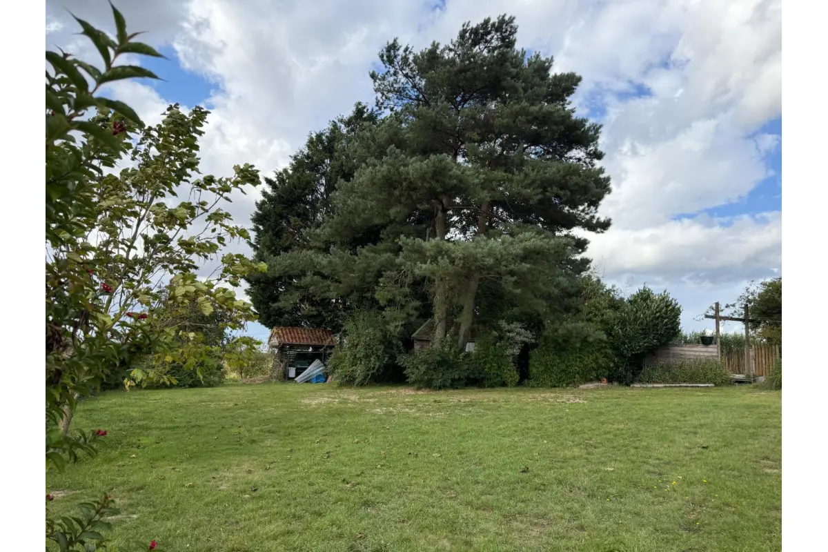 Bungalow à  à Tournai 7500 445000.00€ 4 chambres 164.00m² - annonce 703017