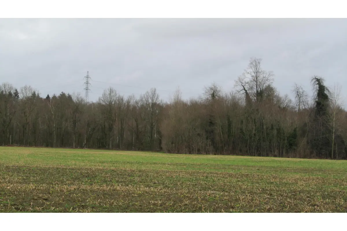 Terrain à vendre à Harchies 7321 15000.00€  chambres m² - annonce 711808