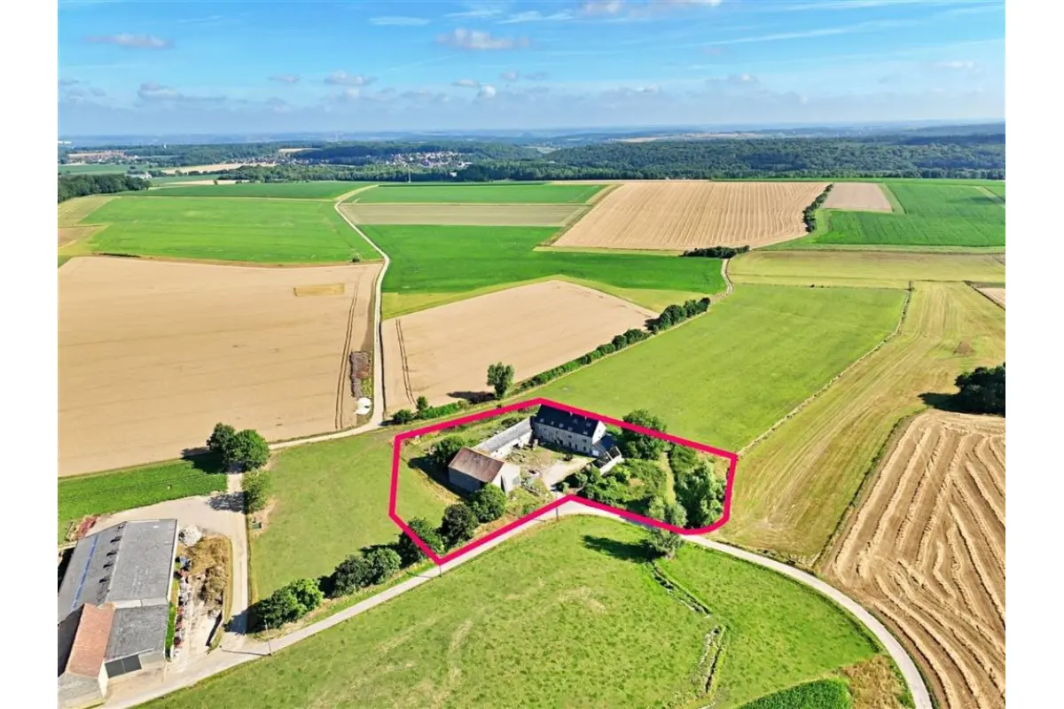 Commerce à vendre à Acoz 6280 699000.00€ 10 chambres m² - annonce 713261