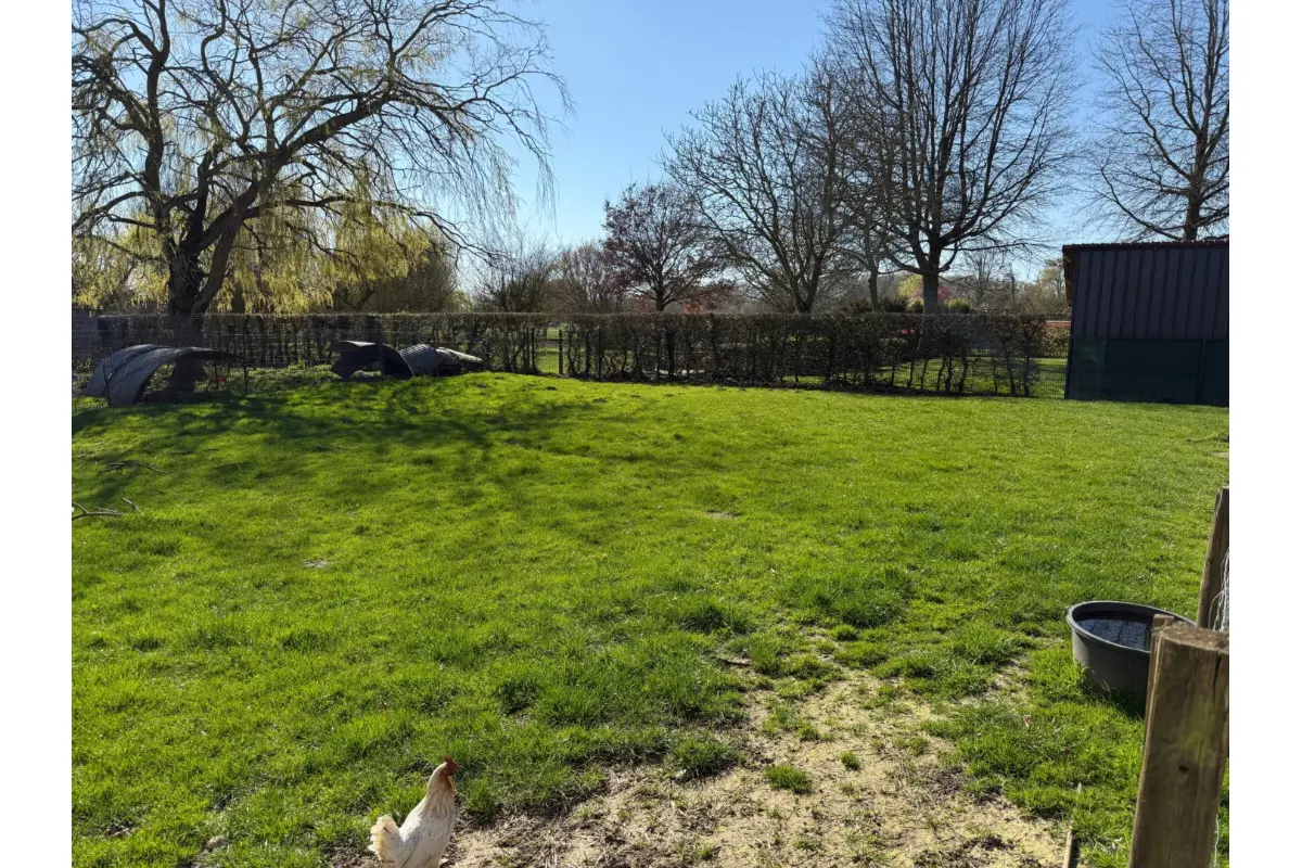 Terrain à vendre à Esplechin 7502 165000.00€  chambres m² - annonce 719080