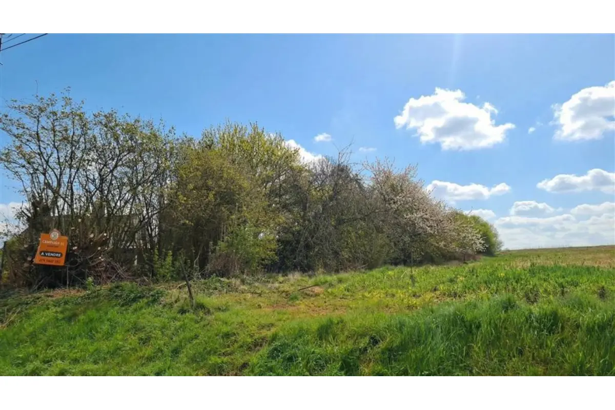 Terrain à vendre à Solre-sur-Sambre 6560 45000.00€  chambres m² - annonce 728237