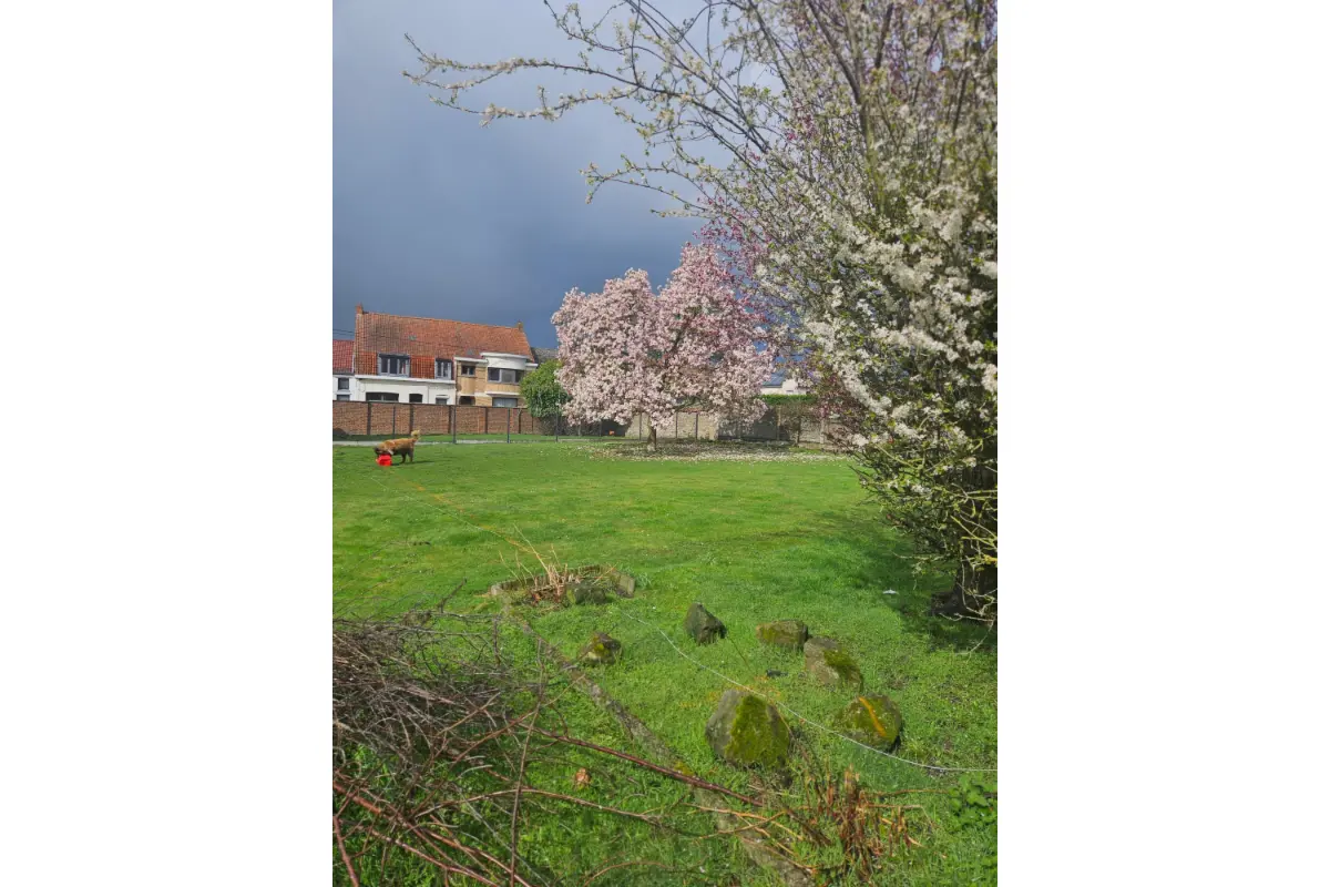 Terrain à vendre à Quevaucamps 7972 125000.00€  chambres m² - annonce 729525