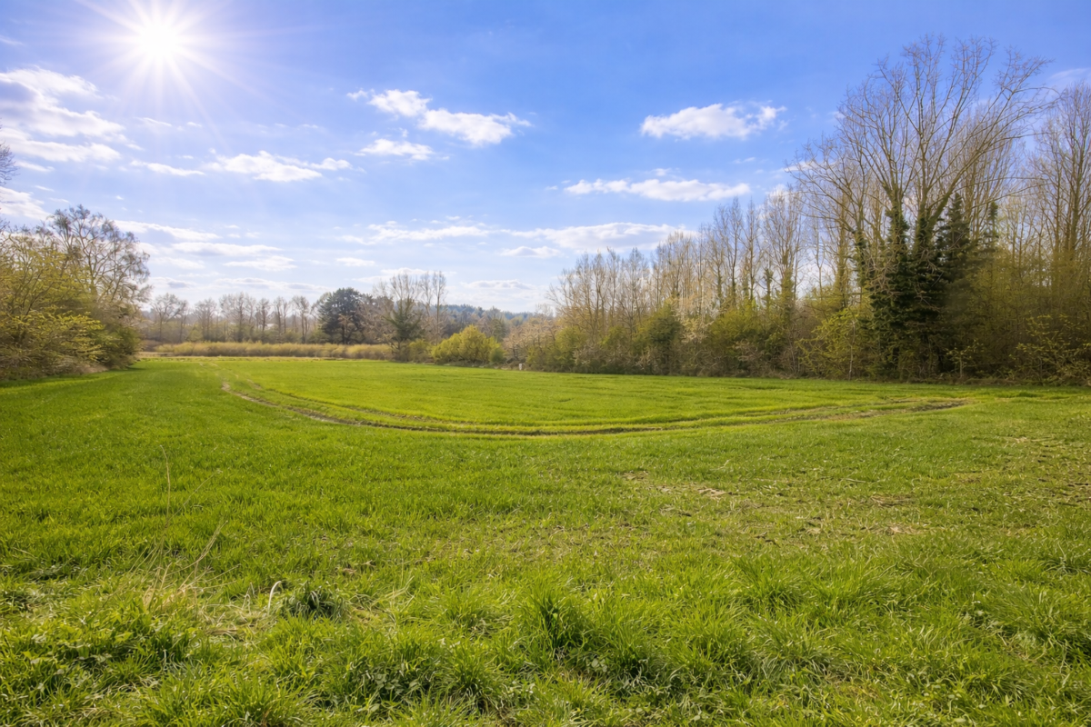 Terrain à vendre à Lessines 7860 275000.00€  chambres m² - annonce 730900