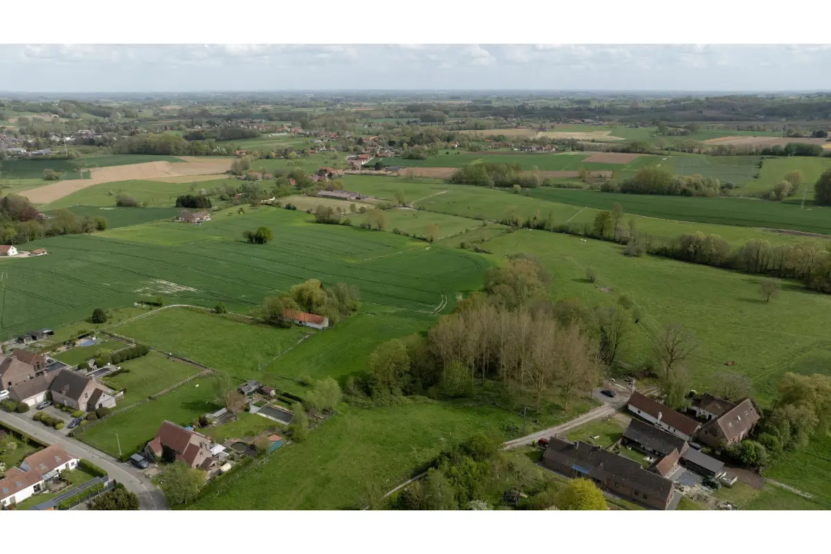 Terrain à vendre à Ellezelles 7890 242000.00€  chambres m² - annonce 731969