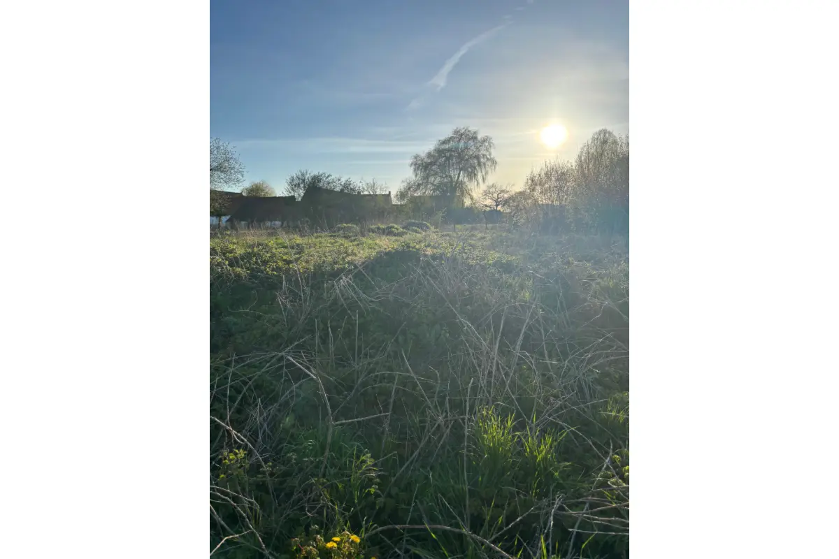 Terrain à vendre à Brunehaut 7620 130000.00€  chambres m² - annonce 732396