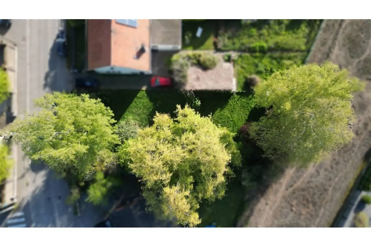 Terrain à vendre à Péruwelz 7600 55000.00€  chambres m² - annonce 733507