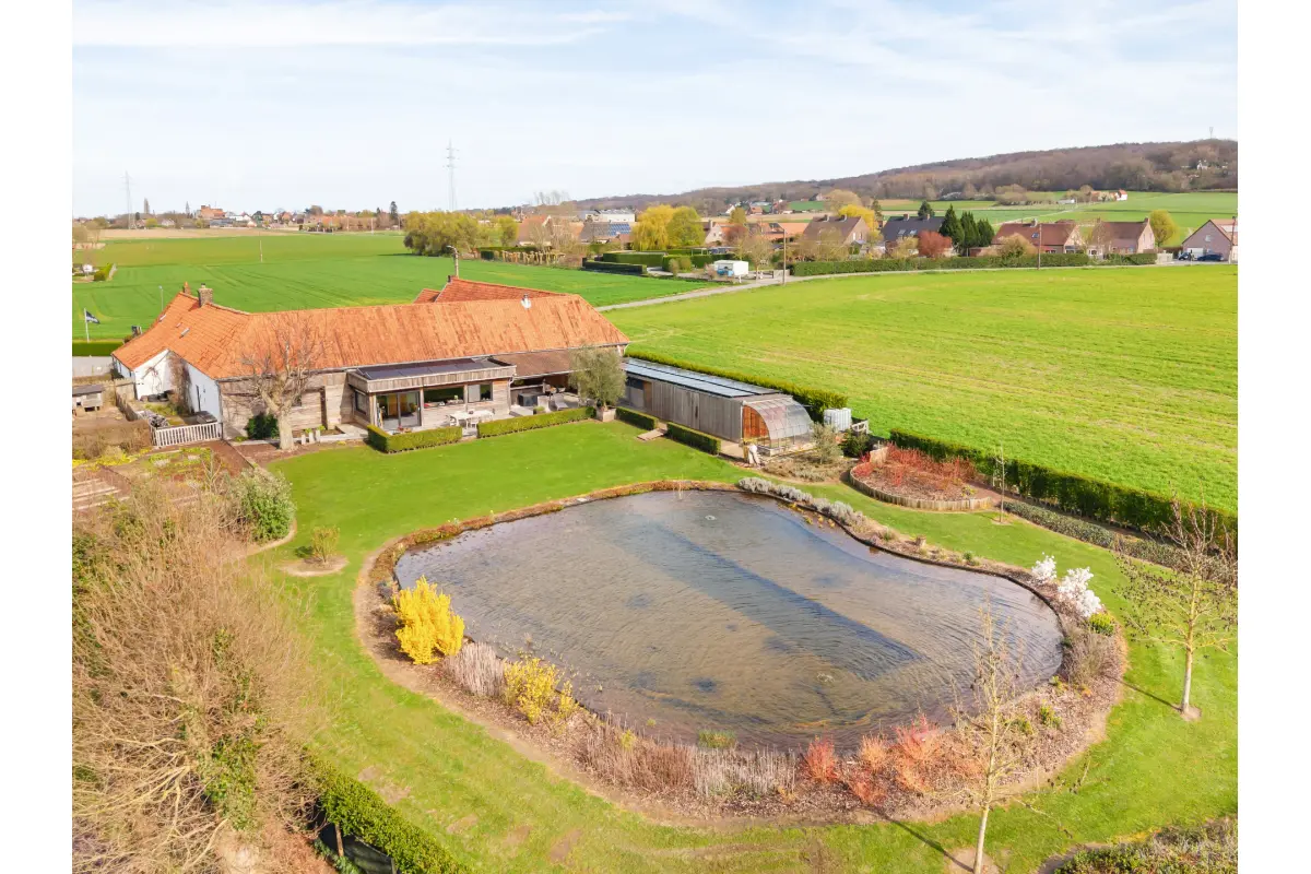 Commerce à vendre à Mont-de-l'Enclus 7750 985000.00€  chambres 600.00m² - annonce 736320