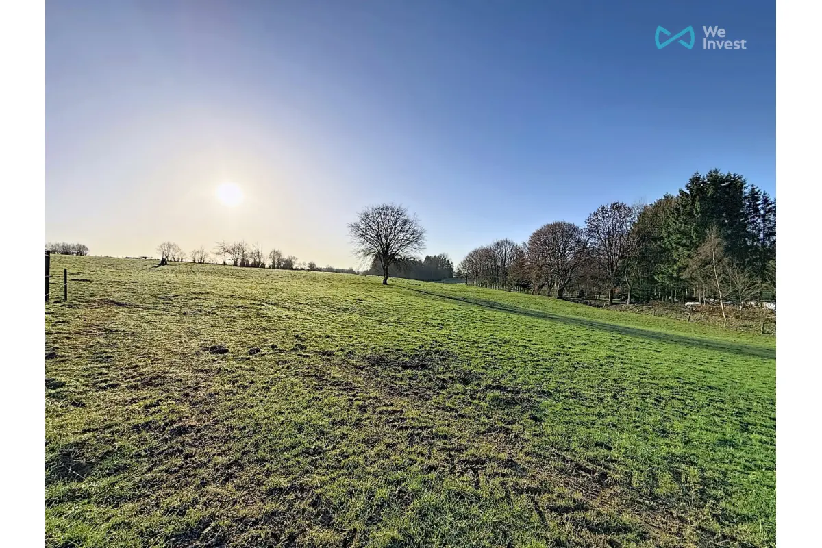 Terrain à  à Seloignes 6596 40000.00€  chambres m² - annonce 738396