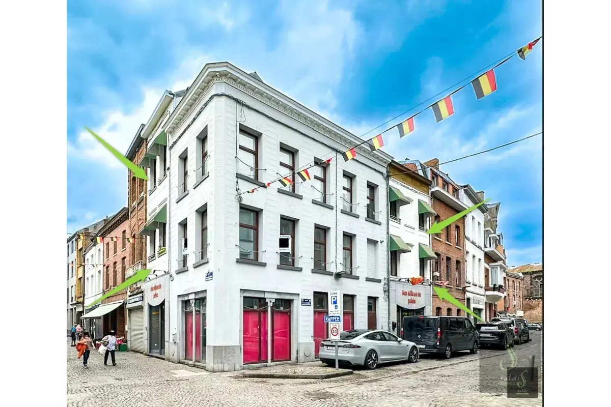 Immeuble de rapport - Immeuble à appartement à vendre à Binche 7130 350000.00€  chambres m² - annonce 743782