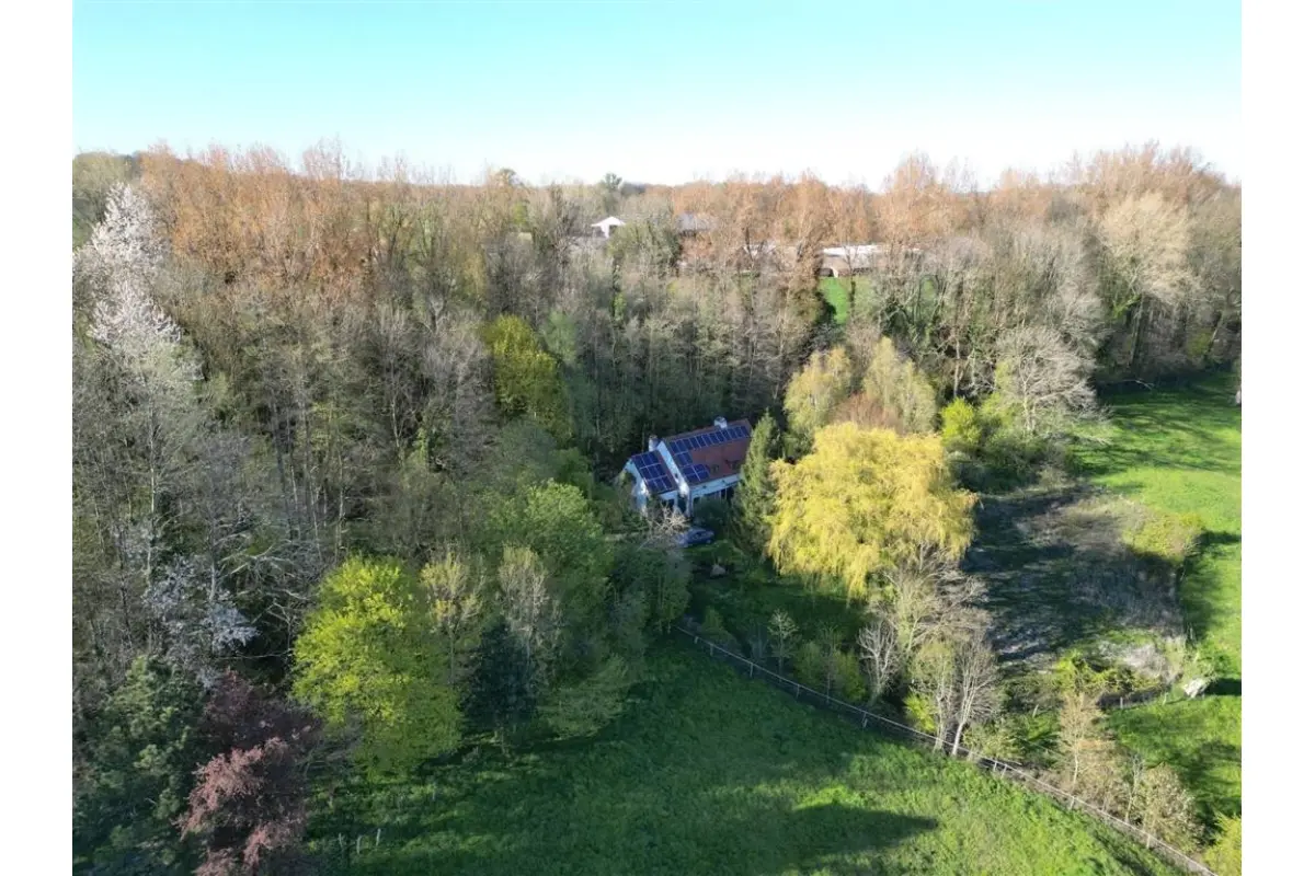 Maison à  à Frasnes-lez-Buissenal 7911 450000.00€ 3 chambres 235.00m² - annonce 747436