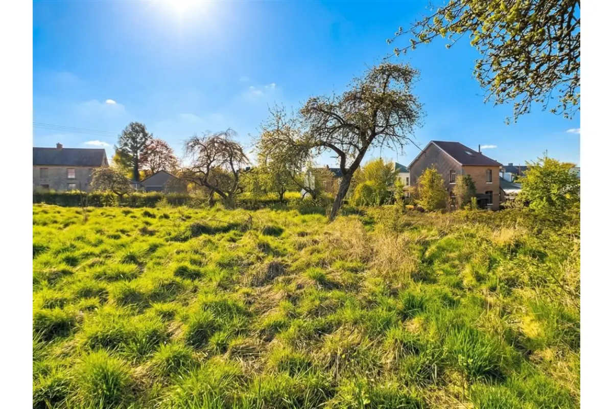 Terrain à vendre à Bourlers 6464 40000.00€  chambres m² - annonce 747939