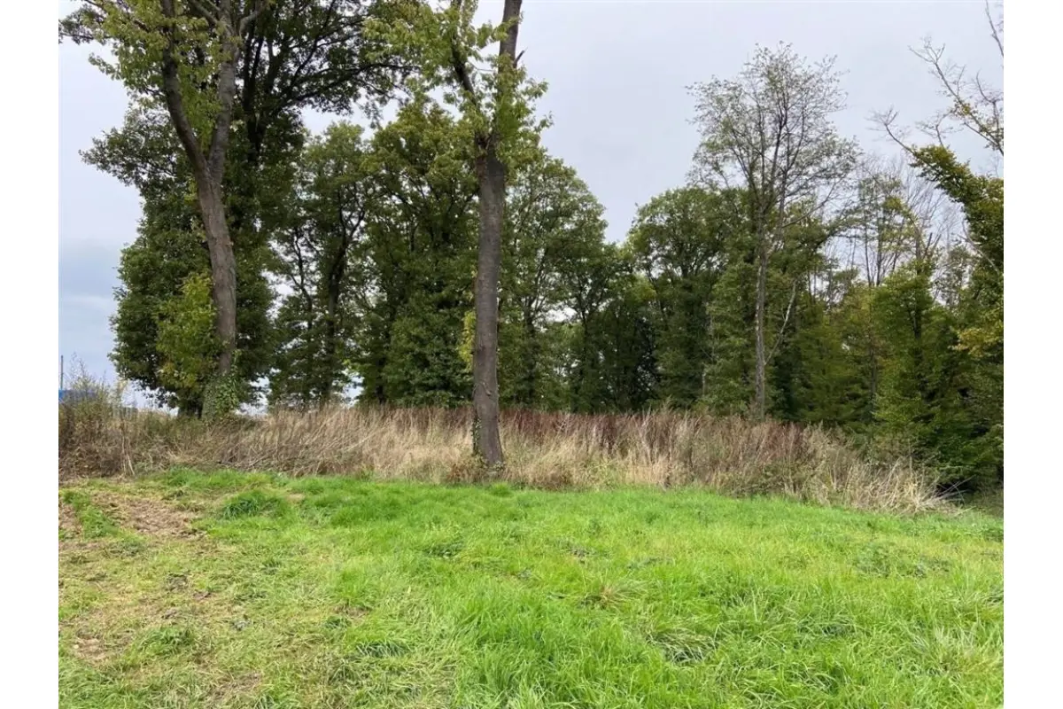Terrain à vendre à Bouffioulx 6200 125000.00€  chambres m² - annonce 749454