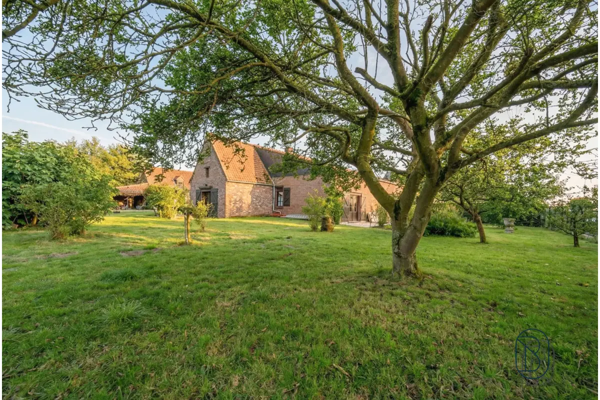 Bungalow à vendre à Montroeul-au-Bois 7911 435000.00€ 4 chambres 256.00m² - annonce 750111