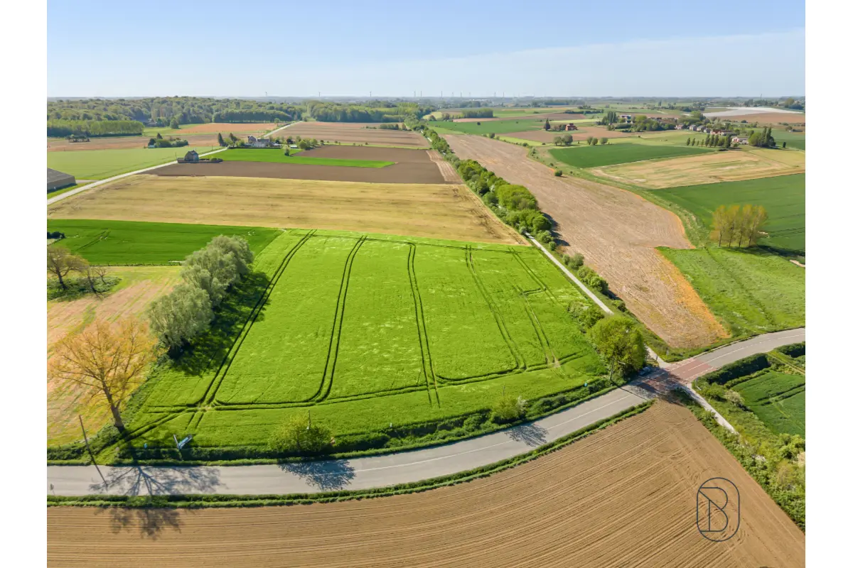 Terrain à vendre à Buissenal 7911 449000.00€  chambres m² - annonce 750907