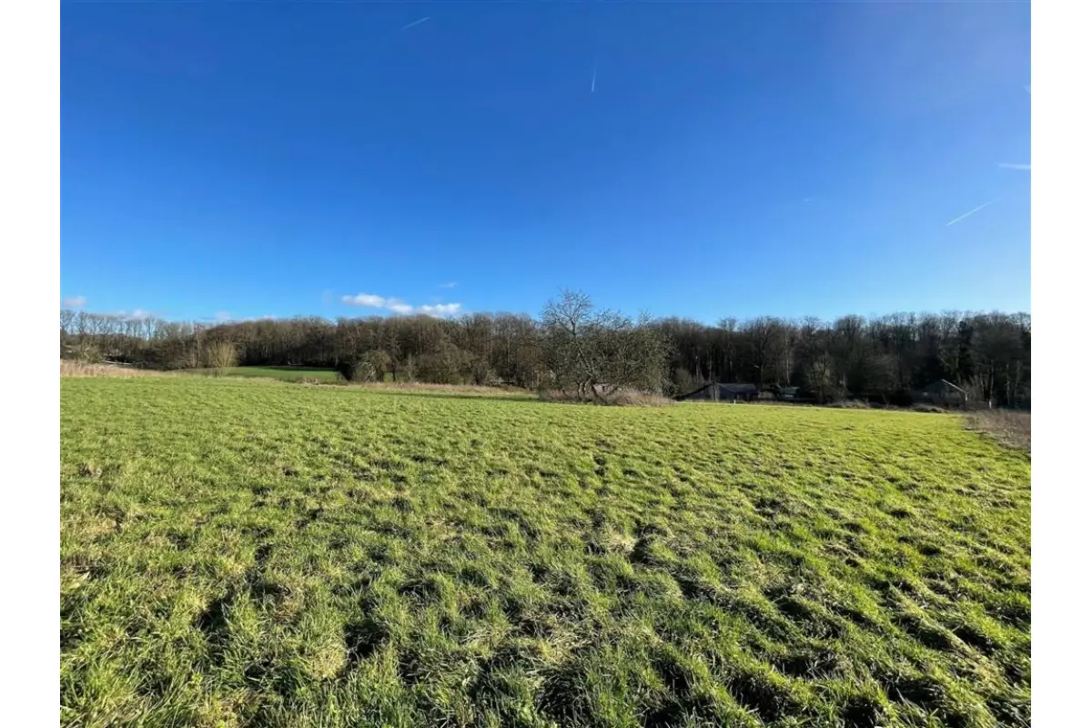 Terrain à vendre à Braine-le-Comte 7090 350000.00€  chambres m² - annonce 756708