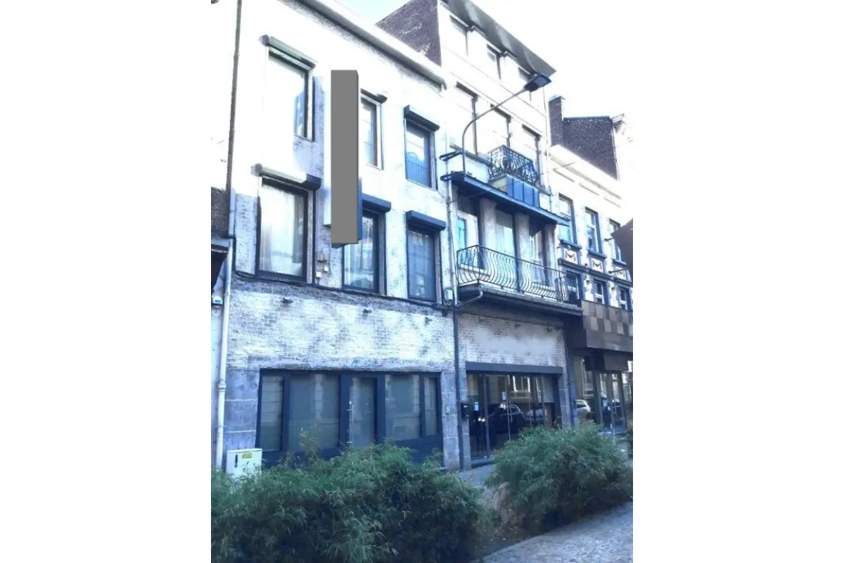 Immeuble de rapport - Immeuble à appartement à vendre à Charleroi 6000 1200000.00€ 8 chambres 1030.00m² - annonce 758905