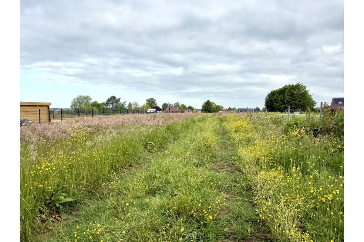 Terrain à vendre à Braine-le-Comte 7090 170000.00€  chambres m² - annonce 760611