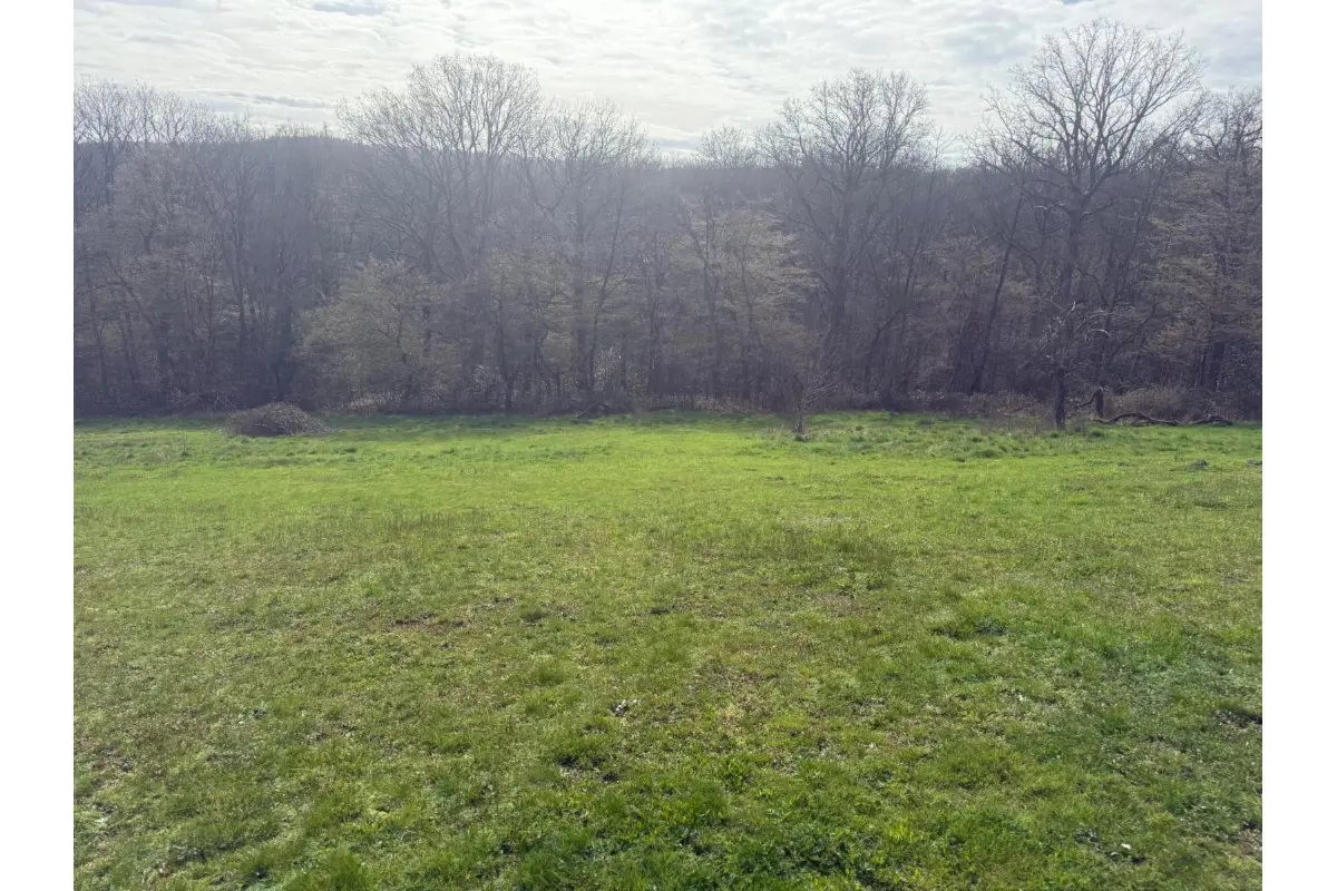 Terrain à  à Jemeppe-sur-Sambre 5190 124000.00€  chambres m² - annonce 763499