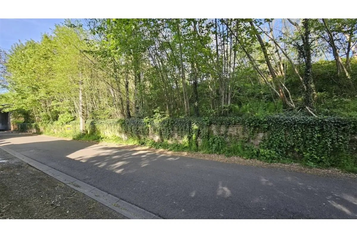 Terrain à vendre à Hornu 7301 15603.00€  chambres m² - annonce 766706