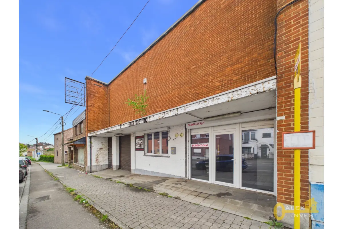 Immeuble de rapport - Immeuble à appartement à vendre à Haine-Saint-Paul 7100 350000.00€ 9 chambres m² - annonce 770455