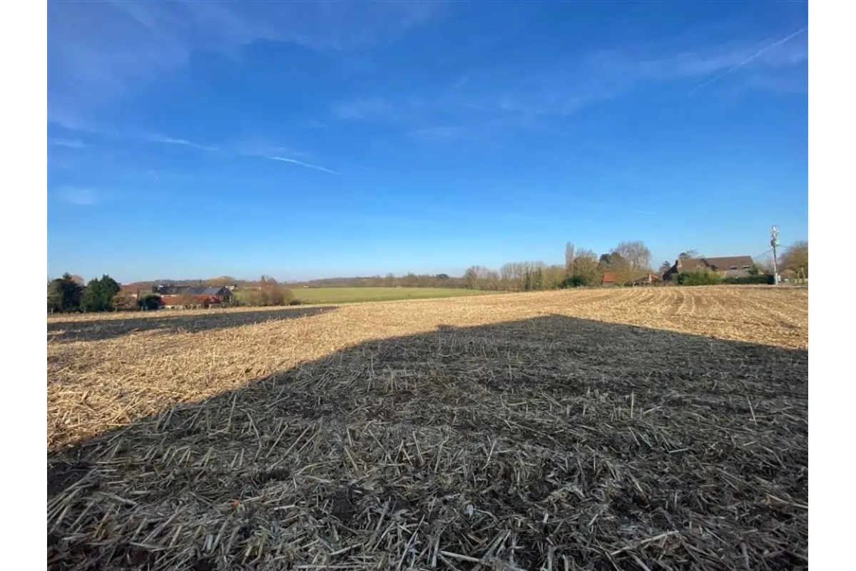 Terrain à vendre à Ath 7800 115000.00€  chambres m² - annonce 770796