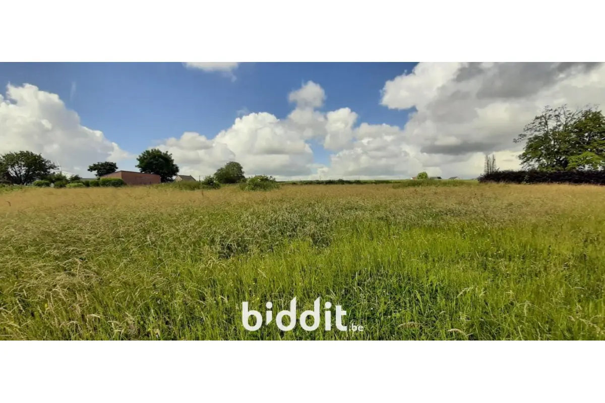 Terrain à vendre à Buissenal 7911 60000.00€  chambres m² - annonce 779315