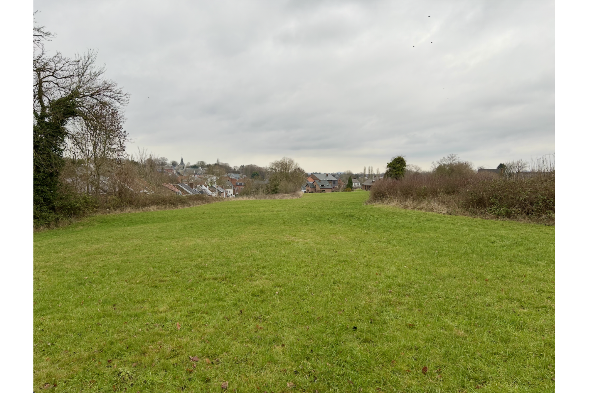 Terrain à  à Montigny-le-Tilleul 6110 230000.00€  chambres m² - annonce 780205
