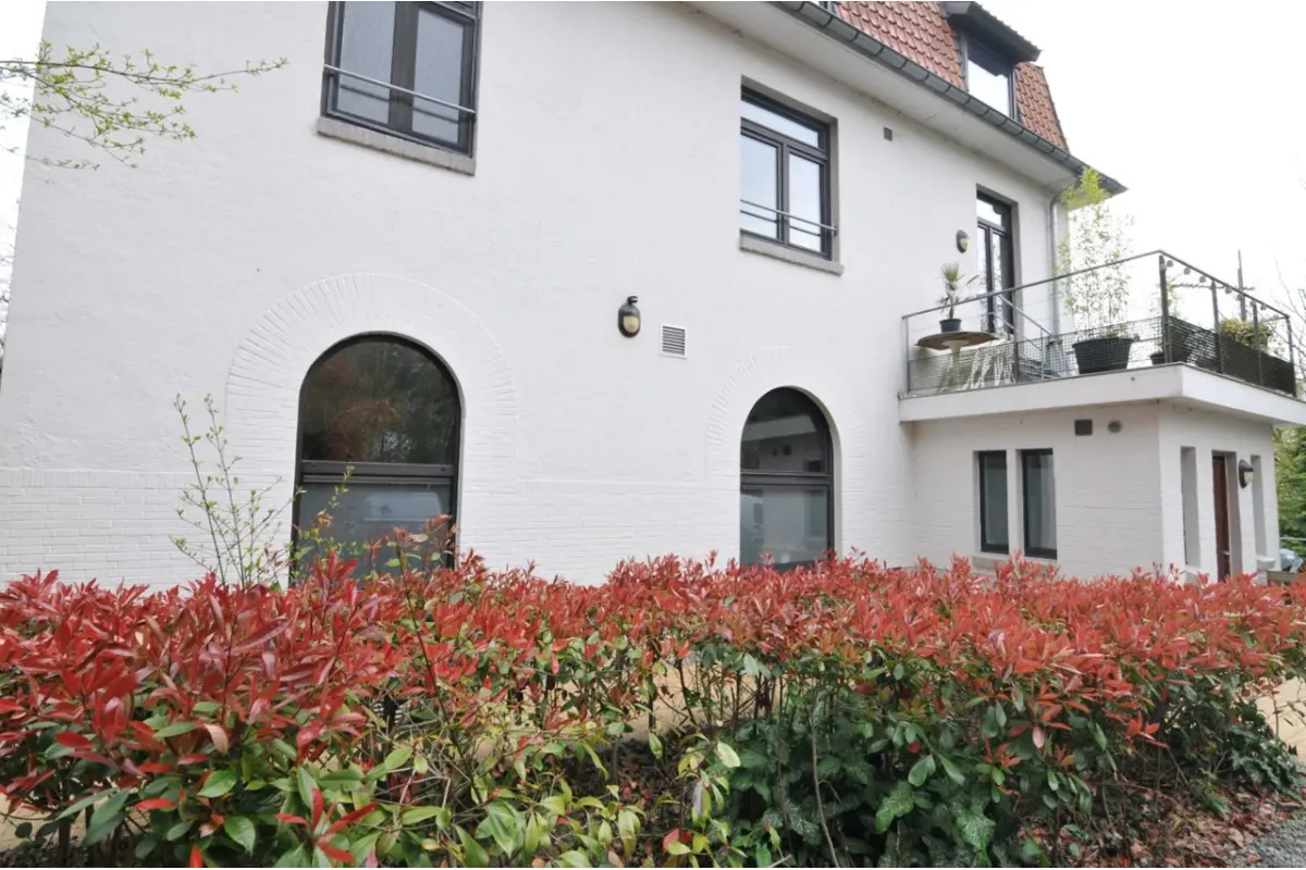 Appartement à louer à Orroir 7750 550.00€ 1 chambres 60.00m² - annonce 781120
