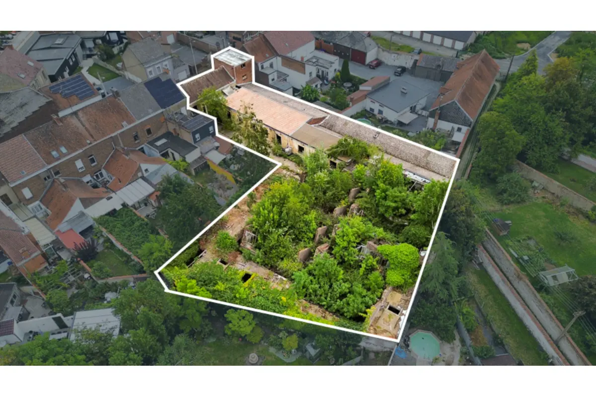 Commerce à vendre à Péruwelz 7600 320000.00€ 1 chambres 2000.00m² - annonce 782294